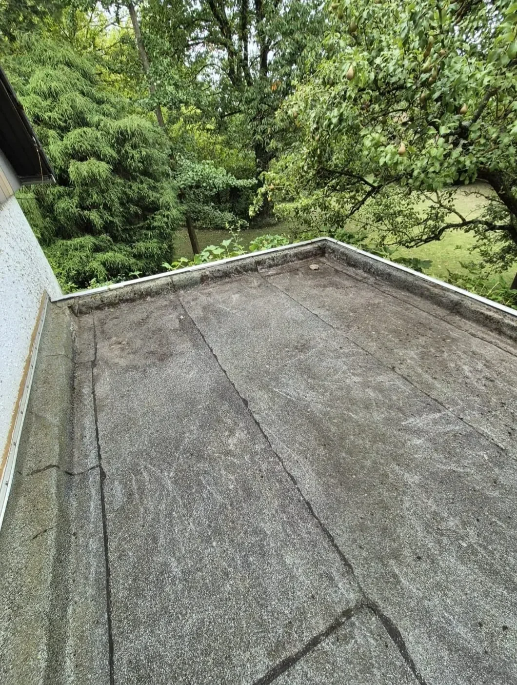Gartenpflege – Bild 1