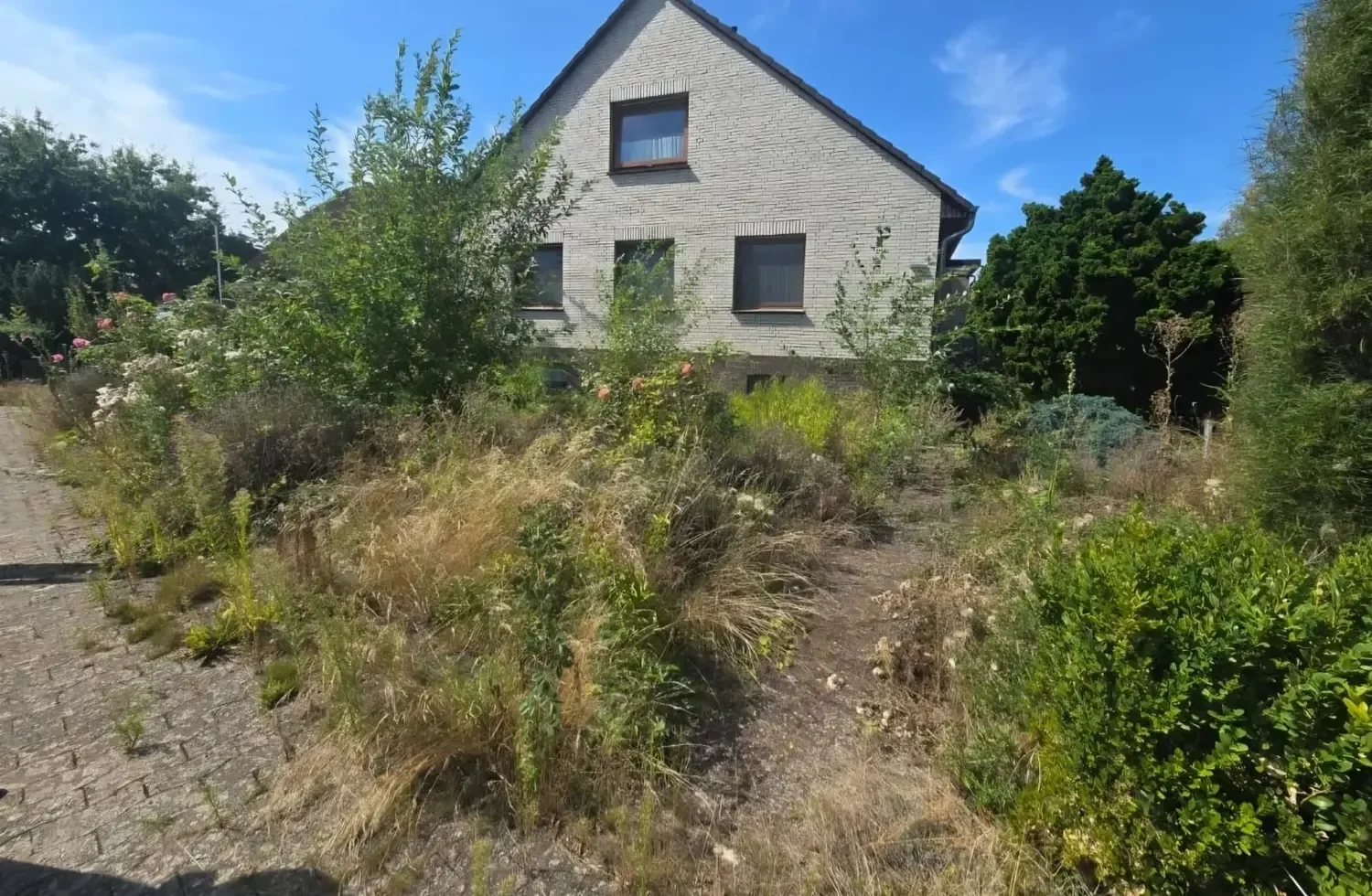 Freischneiderarbeiten – Bild 1